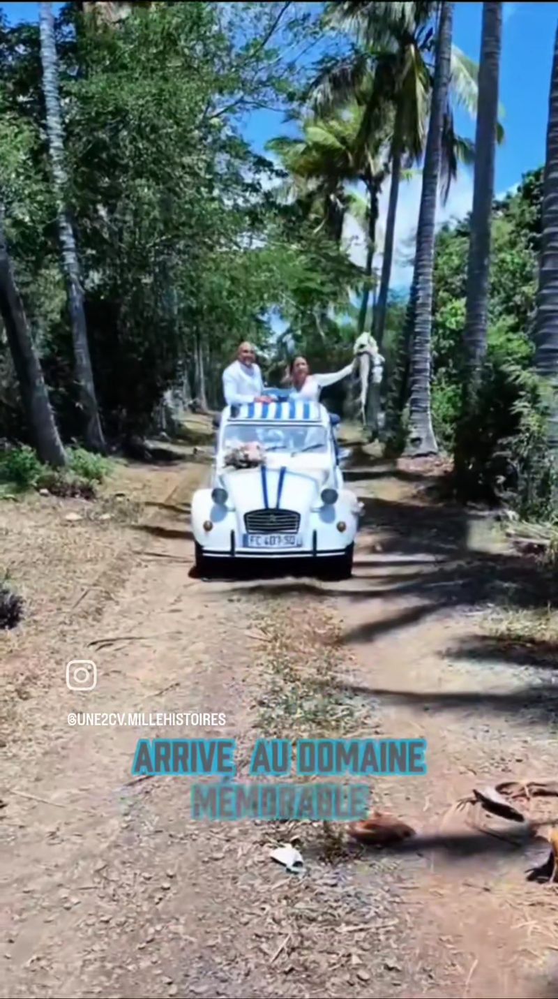 Les mariés debout dans la 2CV sous les palmiers