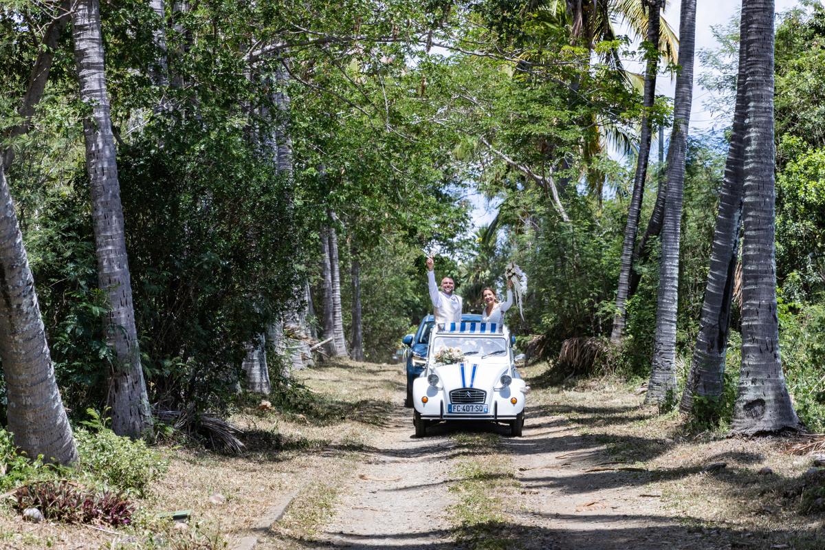 La 2CV décorée remontant l'allée bordée d'arbres du jardin